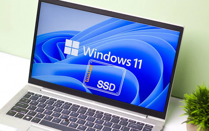 How to Set Up New SSD Windows 11