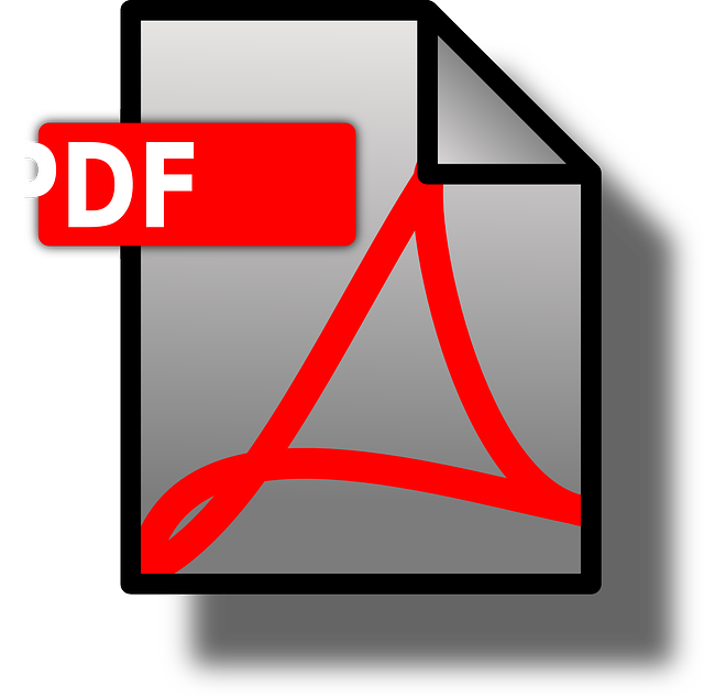 PDF File